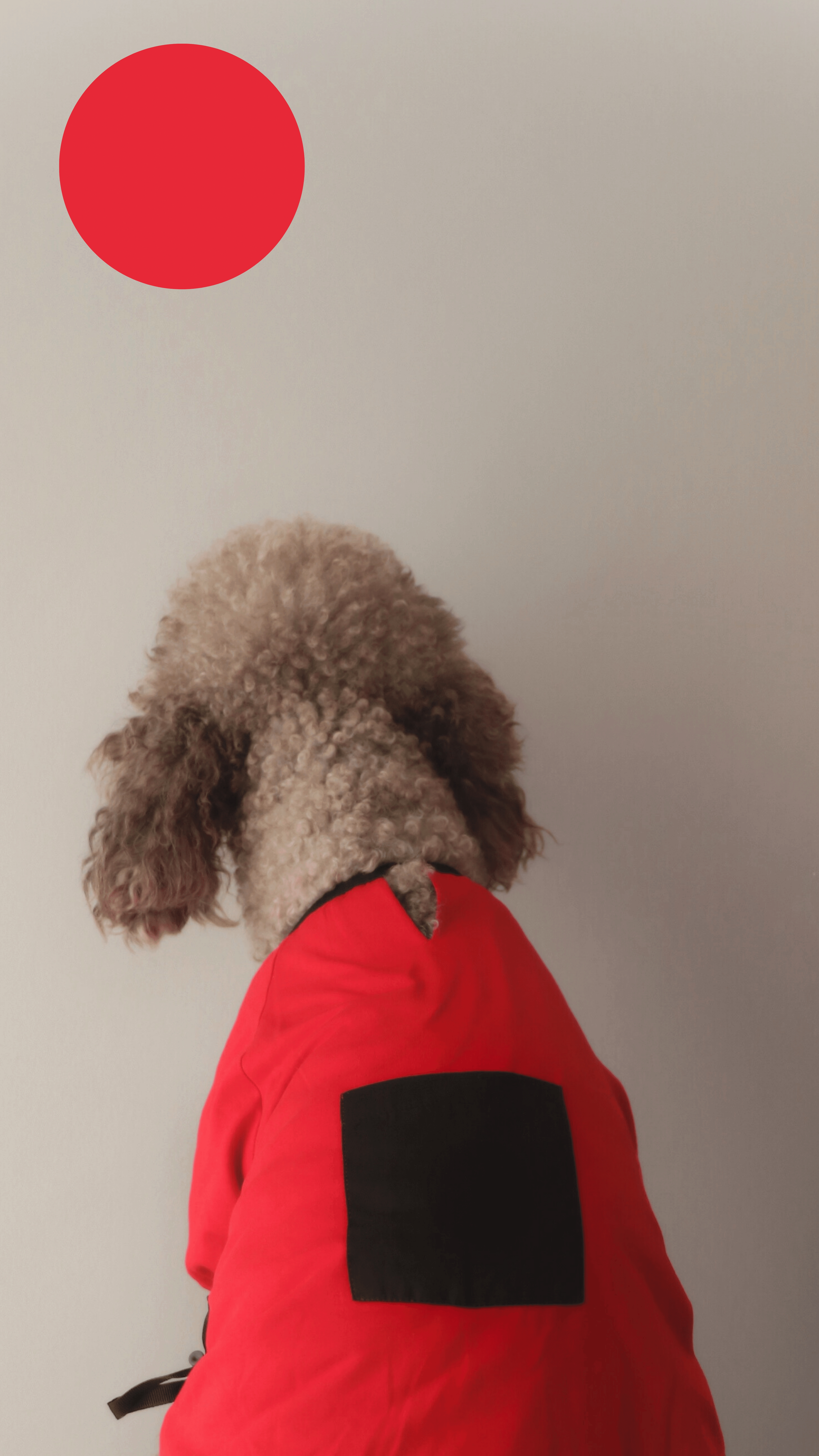 REDBLACK T-SHİRT